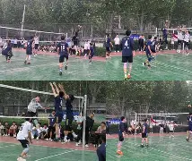 排球夜战：胶东银狐队强势横扫漠南猎隼队，速度优势明显门前嗅觉决定胜负(漠南传奇实景马术演出简介)